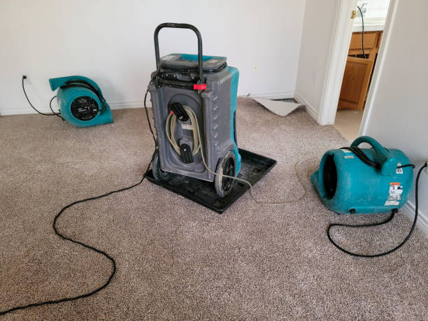 Best Water damage restoration near me  in Bonney Lake, WA