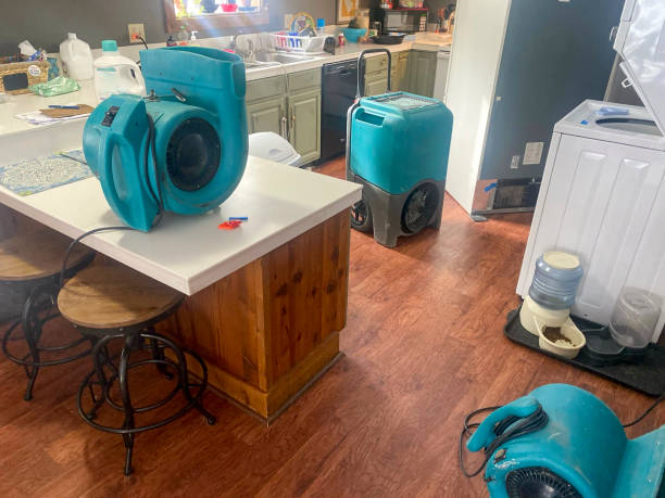 Best Mold removal after water damage  in Bonney Lake, WA