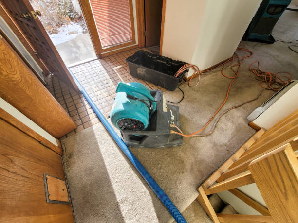 Best Flooded house restoration  in Bonney Lake, WA