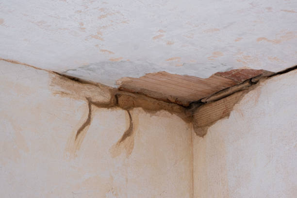 Best Residential water damage restoration  in Bonney Lake, WA