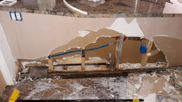 Best Water damage restoration near me  in Bonney Lake, WA