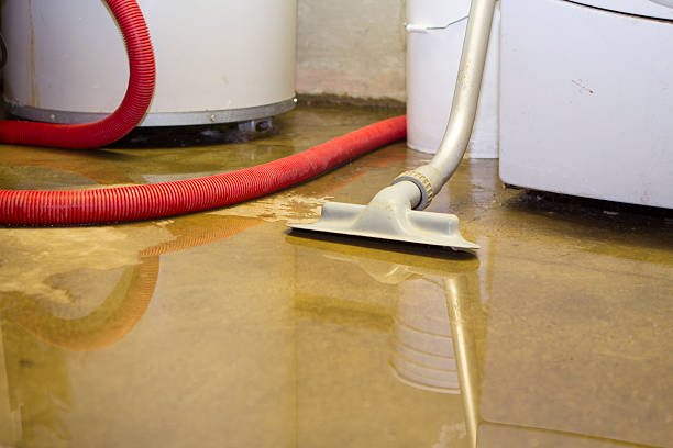 Best Water damage cleanup near me  in Bonney Lake, WA