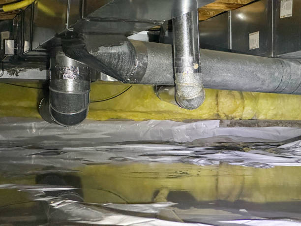 Best Water damage mitigation services  in Bonney Lake, WA