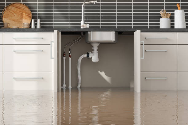 Best Basement water damage restoration  in Bonney Lake, WA